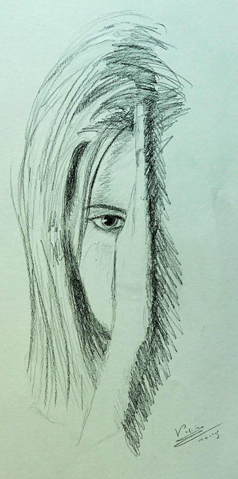 A propos de Vincent Patin artiste peintre